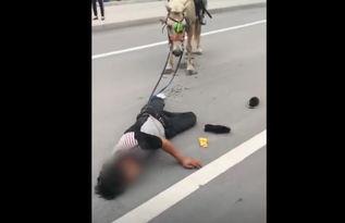 网红骑马爆料视频大全,精彩瞬间尽收眼底  第3张